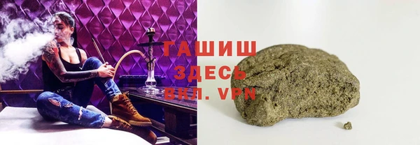 индика Балахна